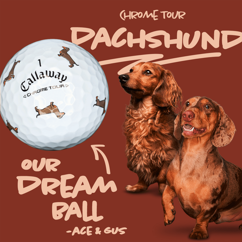 Chrome Tour Small Dogs: Dachshund Golf Balls - View 2