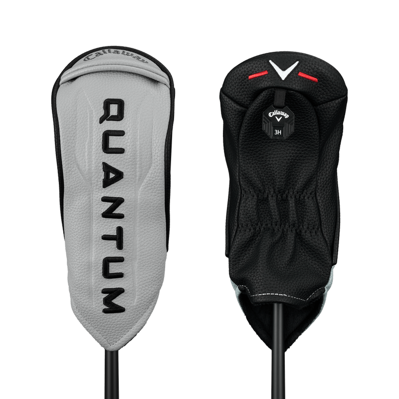 Quantum Max Fast Hybrids - View 9