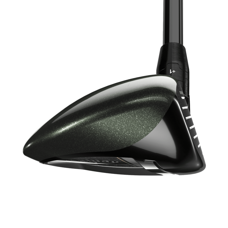 Great Big Bertha Hybrids - View 3