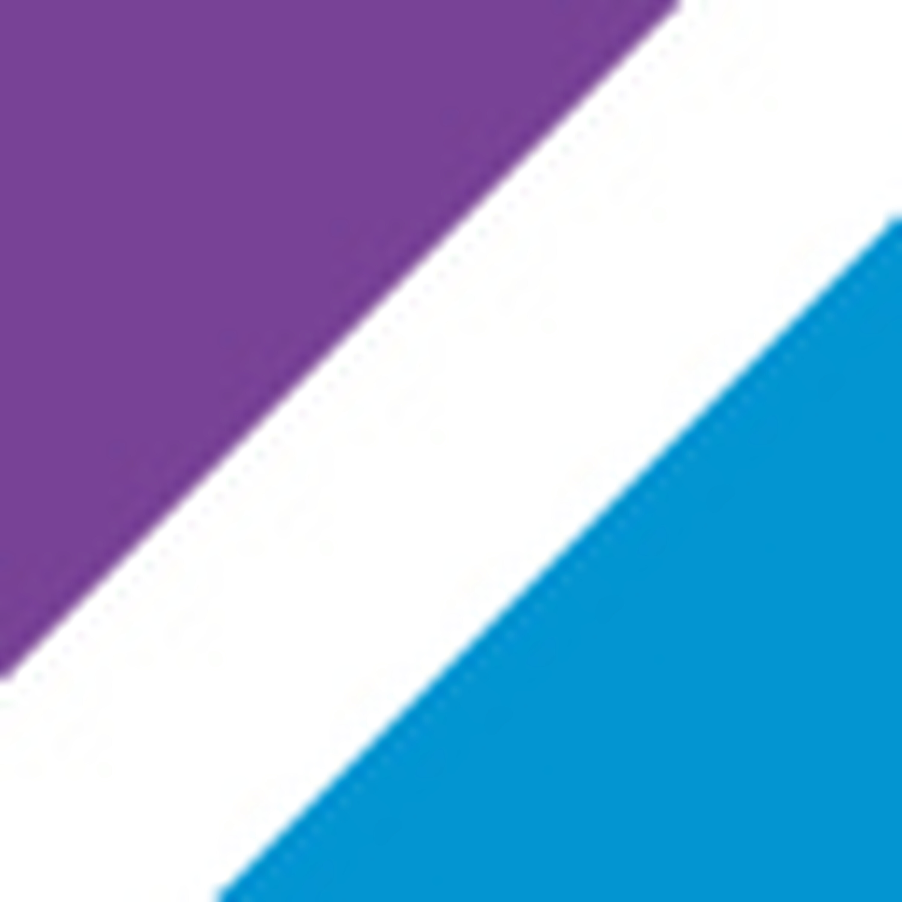 Chev Stand Bag image 44