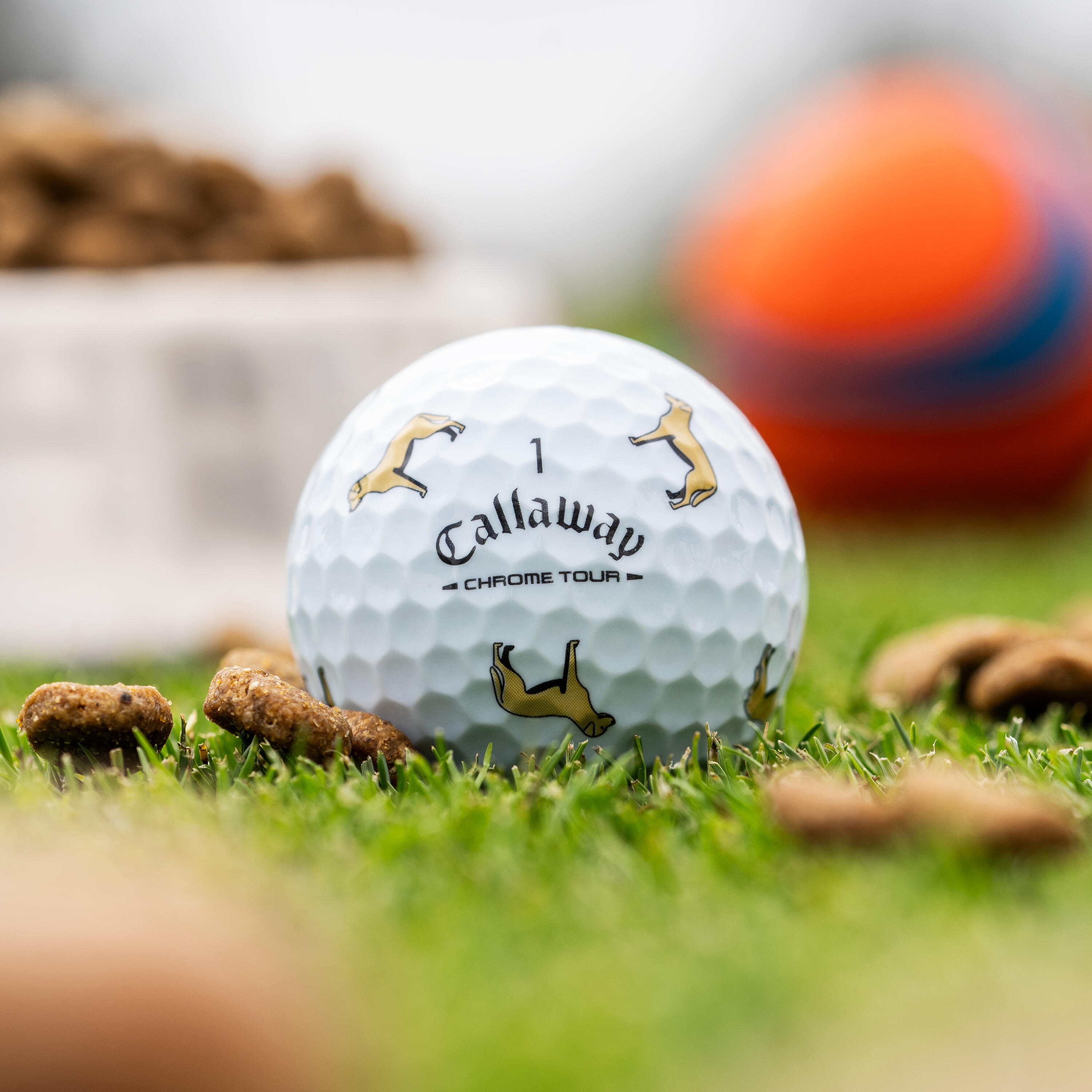 White White