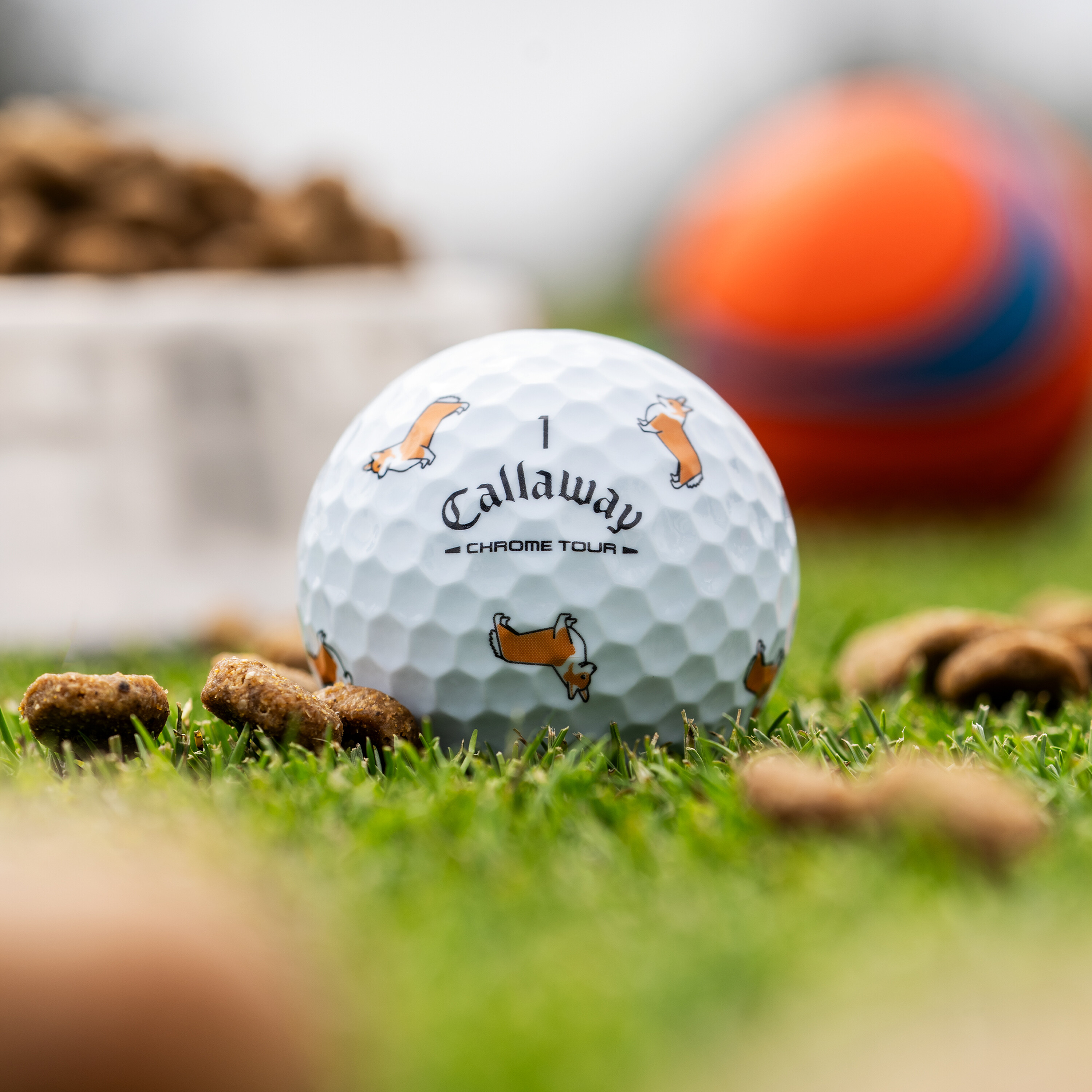Chrome Tour Corgi Dog Golf Balls image 1