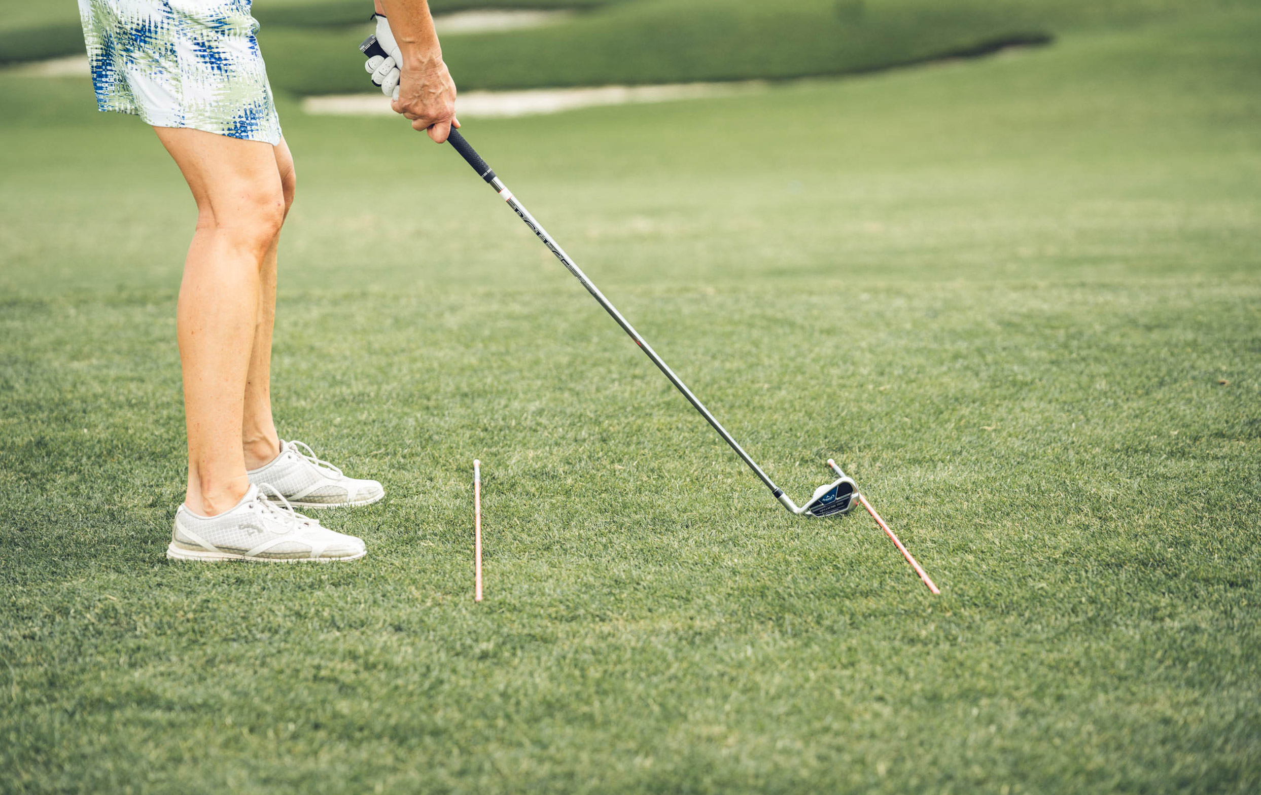 Alignment Stick Gallery 4