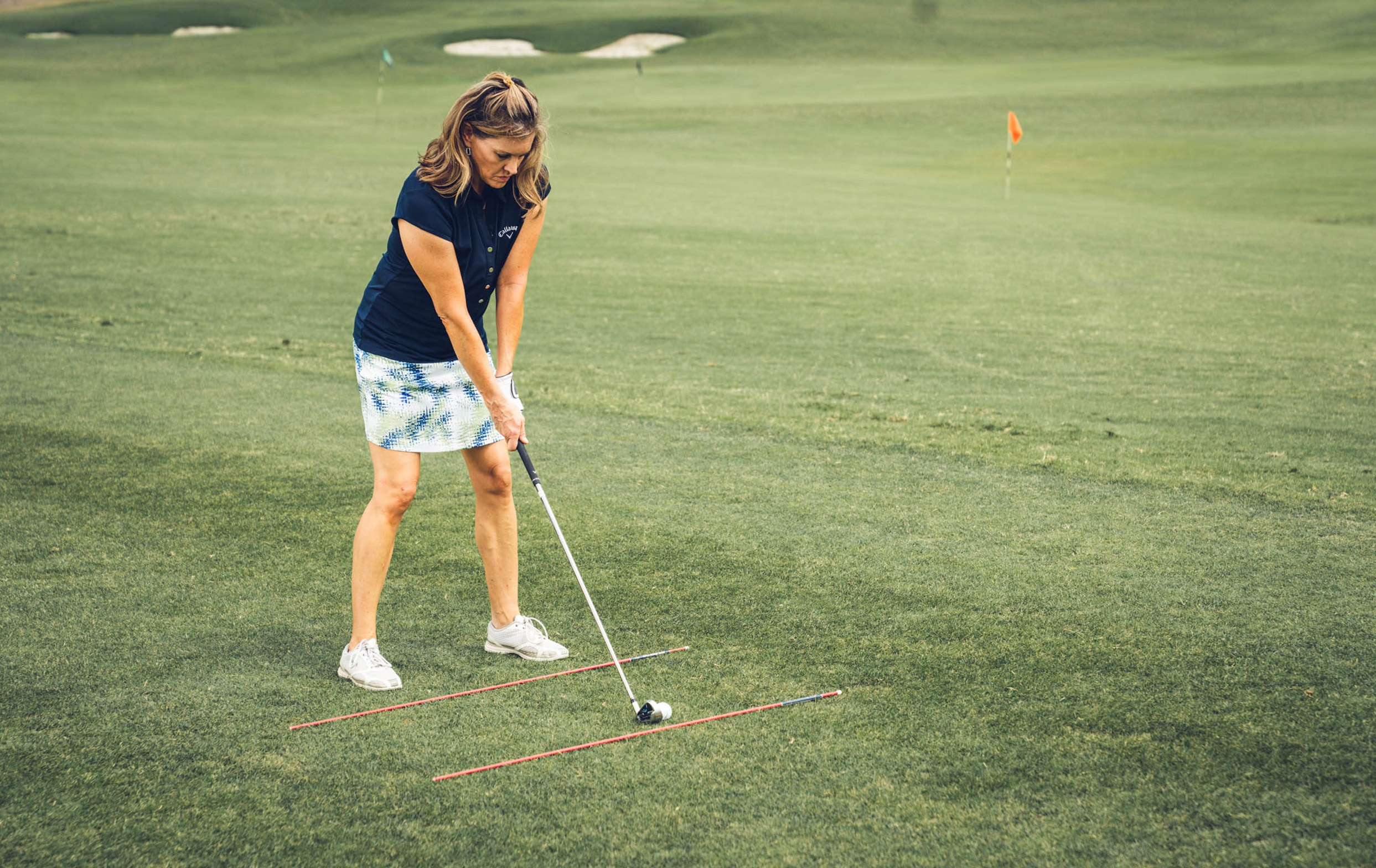 Alignment Stick Gallery 6