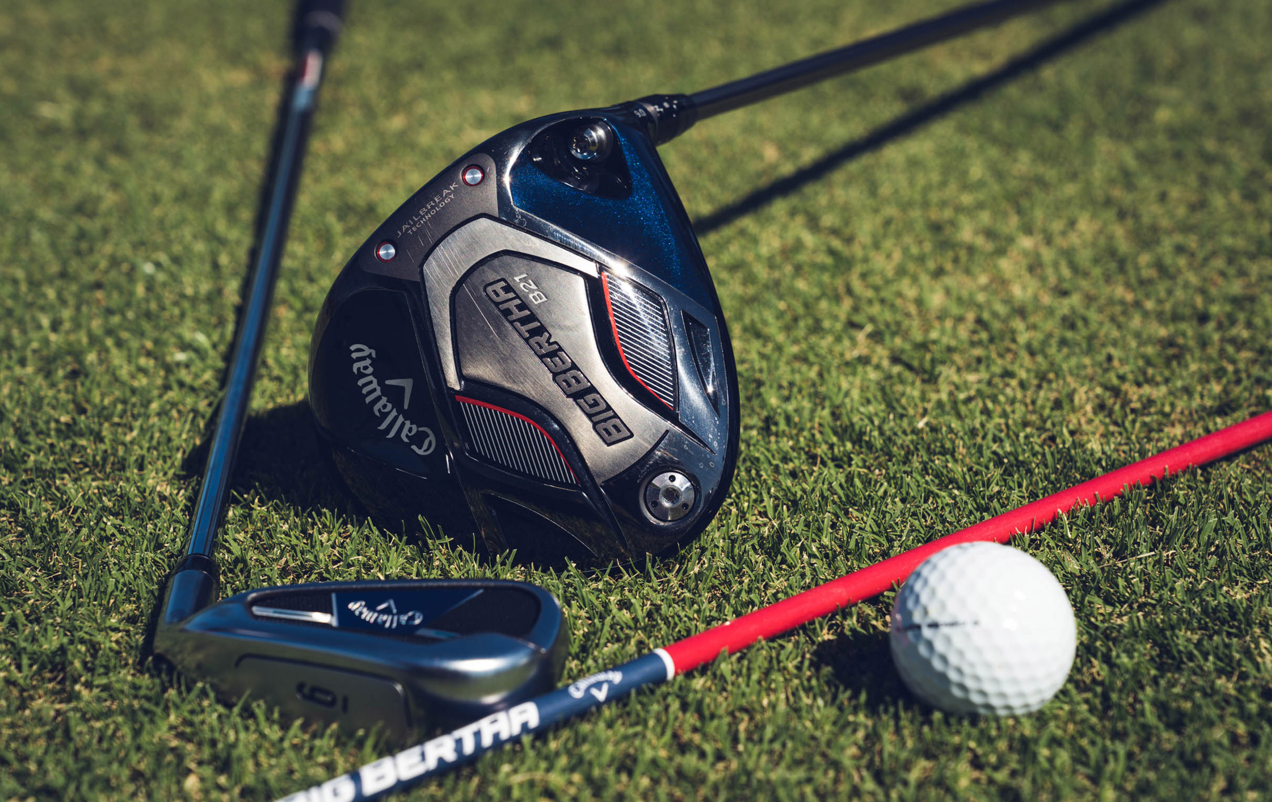 Alignment Stick Gallery 5