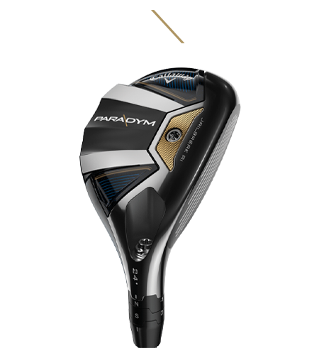 Paradym Hybrid