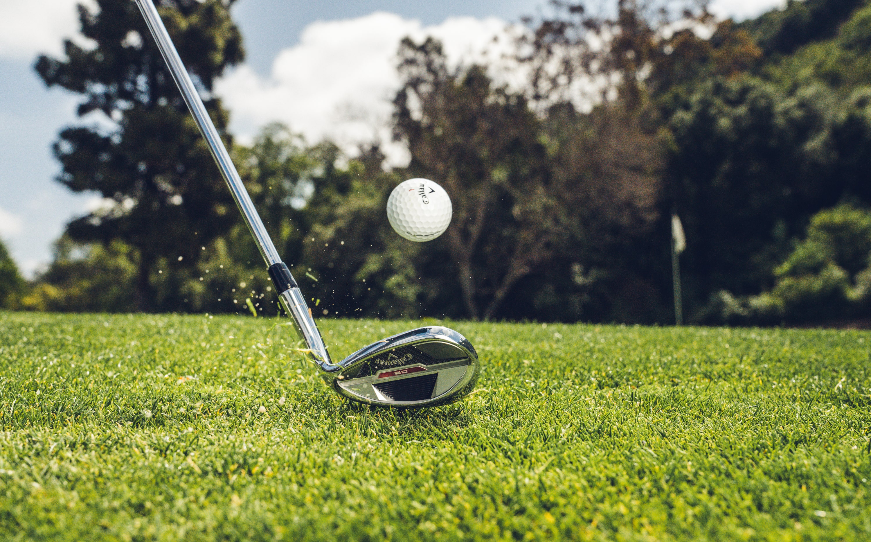 CB Wedge