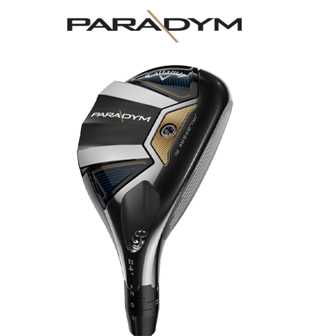 Paradym Hybrid